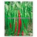 Hybrid Hot Cayenne Long Chili Pepper Seeds For Sale-Crown Grand